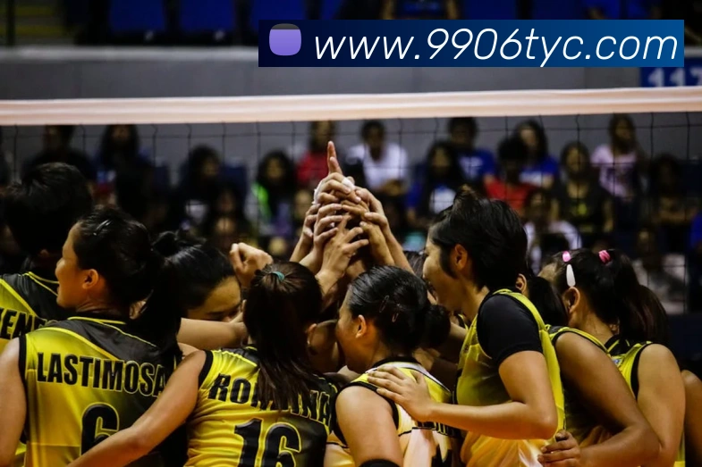 App Interface Preview